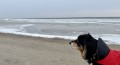 Lilo am eiskalten Ostseestrand