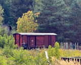 Waggon am Lager-Bahnhof