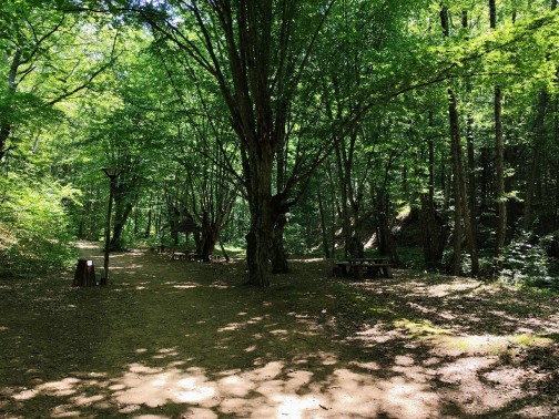 Skulpturen Wald