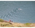 Schwimmen im Lai da Tuma - Tomasee